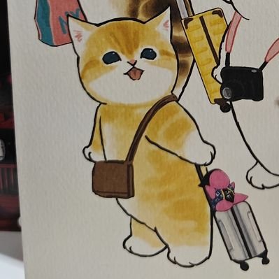 kappd0t29497's profile picture
