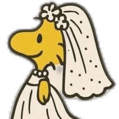 daisy 🦋's profile picture