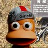 ぎいち profil fotoğrafı