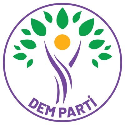 dempartimersin's profile picture