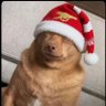 SANTA's profile picture