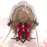 sandrone carpenter's profile picture