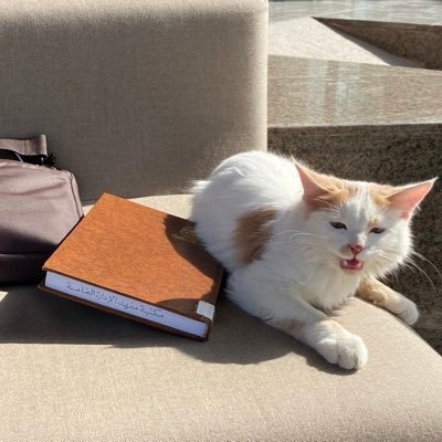 fahadalfrih's profile picture