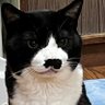 鈴木義和 profil fotoğrafı