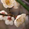 Фото профиля けぃ