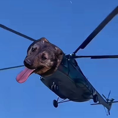 helicopterdog's profile picture