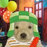 Profilbild von Oowee