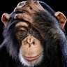 agramunti's profile picture