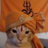 DharmaYodha 🕉 profil fotoğrafı