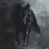 🐺Imperator 的头像