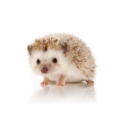 martin fan account's profile picture