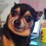 Quercosoak's profile picture