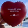 Alzira Ferreira Gomes 的头像