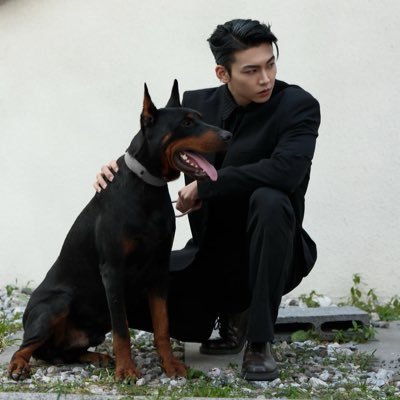 Lii88503's profile picture