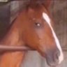 Profilbild von Fesses Jones