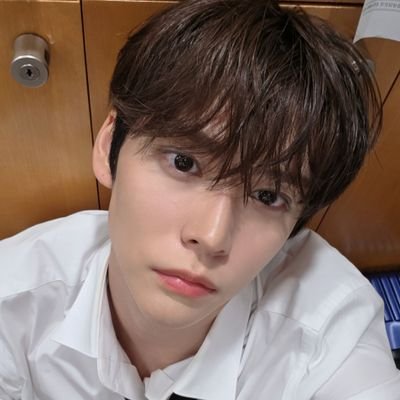 몽돌's profile picture