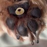 Nina's profile picture
