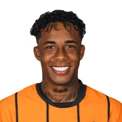 beratinyo's profile picture