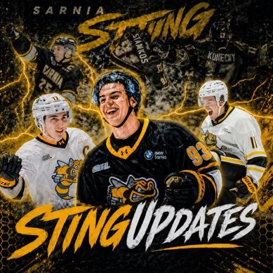 StingUpdates's profile picture