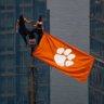 clemson nation 的头像