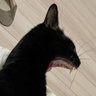 limbf_ob's profile picture