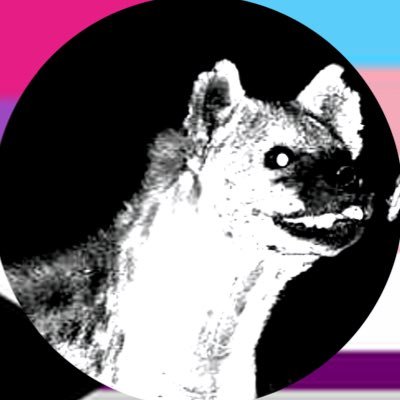 Matt_suni🩸's profile picture
