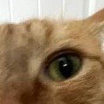 jslak25's profile picture