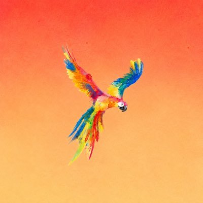 KarolGSite's profile picture