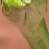 Fayergrand profil fotoğrafı