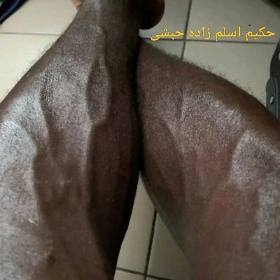 حکیم اسلم زادہ حبشی's profile picture