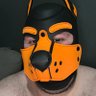 Pumpkin 🎃's profile picture