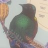 Фото профиля Jone