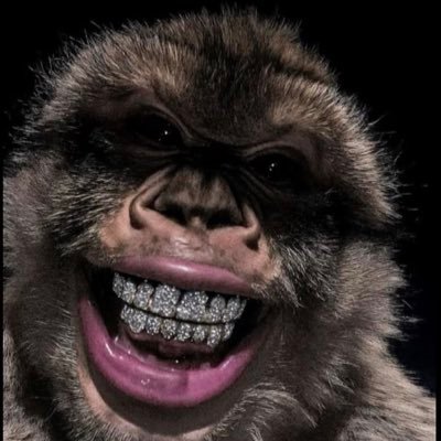 thebestwayyy's profile picture