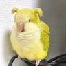 ephemera.'s profile picture