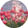 Rima⋆.˚ 𓆉 𓆝 𓆡⋆.˚ profil fotoğrafı