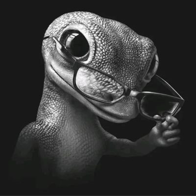 Noizy1x's profile picture