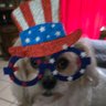 @MyAmerica1st2021 profil fotoğrafı