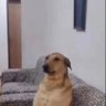 Sr. J profil fotoğrafı
