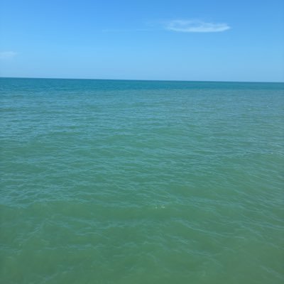 nyih_y26544's profile picture