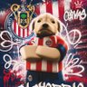 Фото профиля Cachorrao