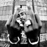 Фото профиля Lord Pac Amaru Shakur