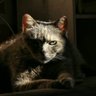 Фото профиля Esteban
