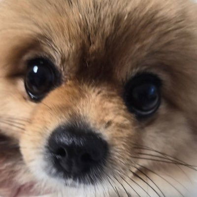 kei 🎶's profile picture