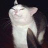 Ultrarolykitty 的头像