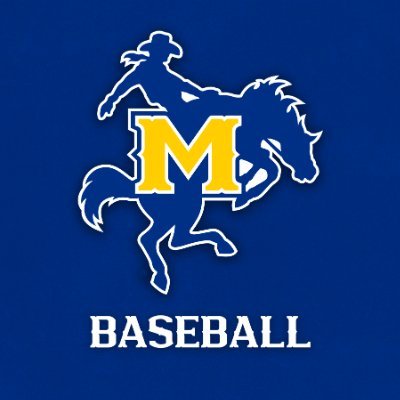 McNeeseBaseball's profile picture