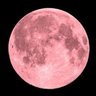 un livreur's profile picture