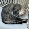 archbruh1214 profil fotoğrafı