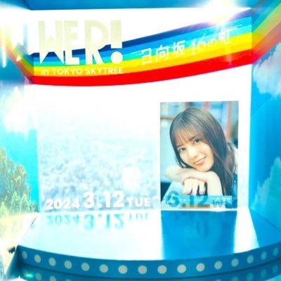 晴れバレ〜『ひなたフェス』☀️🌈's profile picture