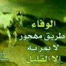 ابو راجح اليافعي مغترب 的头像
