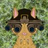 brrflu's profile picture